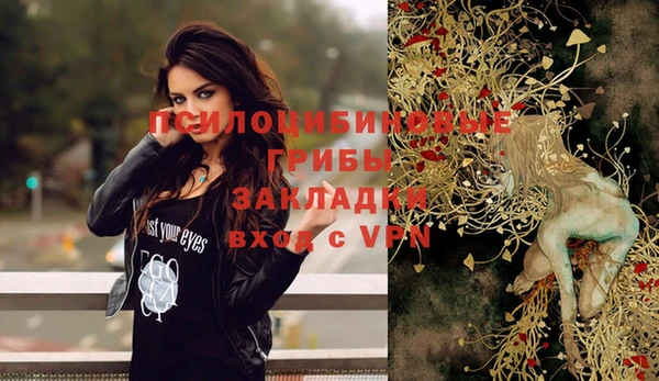 шишки Балабаново